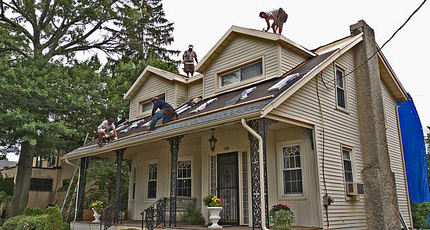 Roof Gutter Cleaning in Syracuse, NE